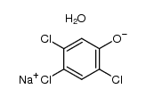 2,4,5-trichloro-phenol, sodium-(2.4.5-trichloro-phenolate) Structure
