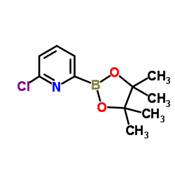 2-氯-6-(4,4,5,5-四甲基-1,3,2-二氧硼杂环戊烷-2-基)吡啶图片