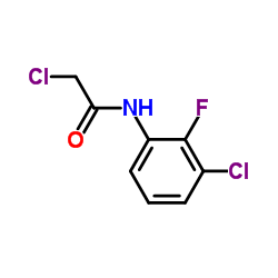 2-Chloro-N-(3-chloro-2-fluorophenyl)acetamide Structure