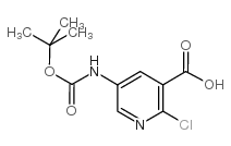 5-叔丁氧羰基氨基-2-氯吡啶-3-羧酸结构式