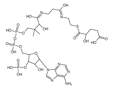 (4R)-5-[2-[3-[[(2R)-4-[[[(2R,3S,4R,5R)-5-(6-aminopurin-9-yl)-4-hydroxy-3-phosphonooxyoxolan-2-yl]methoxy-hydroxyphosphoryl]oxy-hydroxyphosphoryl]oxy-2-hydroxy-3,3-dimethylbutanoyl]amino]propanoylamino]ethylsulfanyl]-4-hydroxy-5-oxopentanoic acid Structure