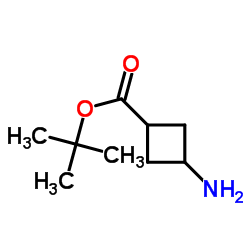3-氨基环丁酸叔丁酯图片