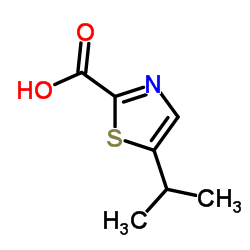 5-Isopropyl-1,3-thiazole-2-carboxylic acid Structure