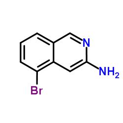 5-Bromo-3-isoquinolinamine picture