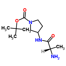 2-Methyl-2-propanyl 3-(alanylamino)-1-pyrrolidinecarboxylate结构式