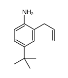 4-tert-butyl-2-prop-2-enylaniline结构式