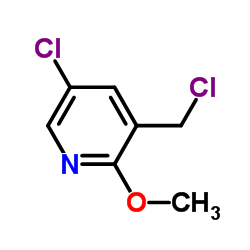 5-Chloro-3-chloromethyl-2-Methoxy-pyridine picture