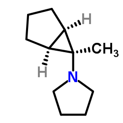 Pyrrolidine, 1-(6-methylbicyclo[3.1.0]hex-6-yl)-, (1-alpha-,5-alpha-,6-ba-)- (9CI)结构式