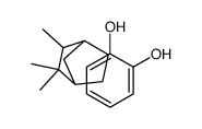 3-(2,2,3-trimethyl-5-bicyclo[2.2.1]heptanyl)benzene-1,2-diol结构式