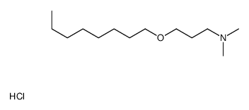 N,N-dimethyl-3-octoxypropan-1-amine,hydrochloride Structure