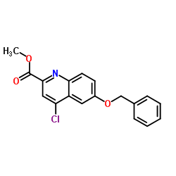 6-(苄氧基)-4-氯喹啉-2-羧酸甲酯结构式