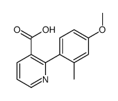 2-(4-methoxy-2-methylphenyl)pyridine-3-carboxylic acid结构式