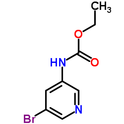 乙基 (5-bromopyridin-3-yl)氨基甲酸酯结构式