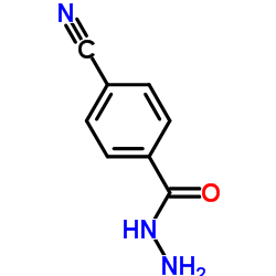 4-Cyanobenzohydrazide Structure