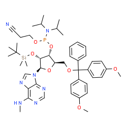 N6-Me-rA 亚磷酰胺单体结构式