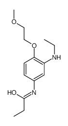 N-[3-(ethylamino)-4-(2-methoxyethoxy)phenyl]propanamide structure