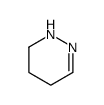 2,3,4,5-Tetrahydropyridazine结构式