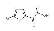 1-(5-溴-2-噻吩)2,2-二羟基乙酮结构式