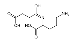 5-amino-2-(3-carboxypropanoylamino)pentanoic acid Structure