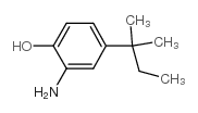 Phenol,2-amino-4-(1,1-dimethylpropyl)- Structure