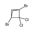 1,3-dibromo-2,2-dichlorobicyclo[1.1.1]pentane Structure
