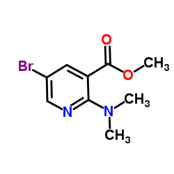 Methyl 5-bromo-2-(dimethylamino)nicotinate Structure