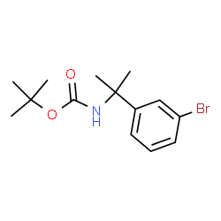 (2-(3-溴苯基)丙-2-基)氨基甲酸叔丁酯结构式