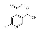 6-疏基吡啶-3,4-二羧酸结构式