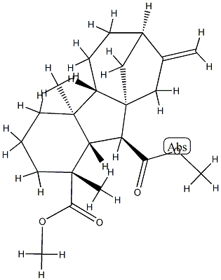 Gibberellin A12 methyl ester Structure