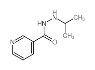 3-Pyridinecarboxylicacid, 2-(1-methylethyl)hydrazide Structure
