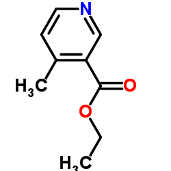 Ethyl 4-methylnicotinate structure