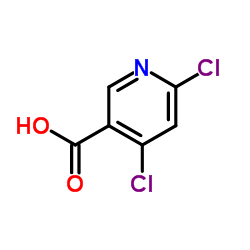 4,6-二氯烟酸结构式