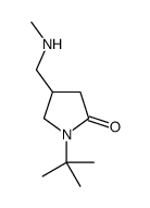 4-[(Methylamino)methyl]-1-(2-methyl-2-propanyl)-2-pyrrolidinone Structure