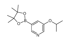 5-Isopropoxypyridine-3-boronic acid pinacol ester structure