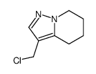 3-(chloromethyl)-4,5,6,7-tetrahydropyrazolo[1,5-a]pyridine结构式