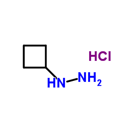 1-环丁基肼盐酸盐结构式