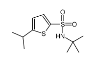 N-tert-butyl-5-propan-2-ylthiophene-2-sulfonamide Structure