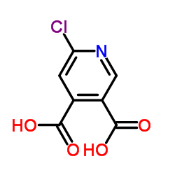 6-氯吡啶-3,4-二羧酸结构式