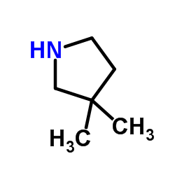 3,3-二甲基吡咯盐酸盐结构式