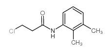 3-chloro-N-(2,3-dimethylphenyl)propanamide Structure