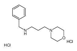 N-benzyl-3-morpholin-4-ylpropan-1-amine,dihydrochloride结构式