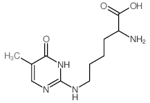 2-amino-6-[(5-methyl-4-oxo-3H-pyrimidin-2-yl)amino]hexanoic acid Structure