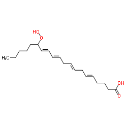 15-hydroperoxy-5,8,11,13-eicosatetraenoic acid Structure