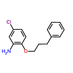 5-Chloro-2-(3-phenylpropoxy)aniline Structure