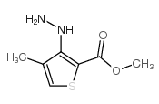3-肼基-4-甲基噻吩-2-羧酸甲酯结构式