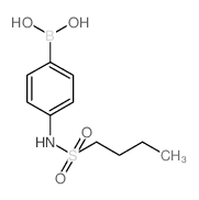 4-(丁基磺酰胺)苯硼酸结构式