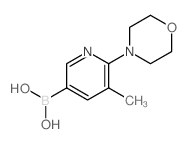 (5-甲基-6-吗啉吡啶-3-基)硼酸结构式