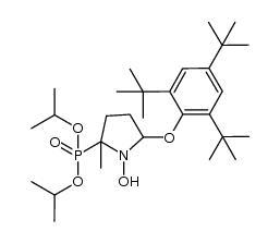 diisopropyl (1-hydroxy-2-methyl-5-(2,4,6-tri-tert-butylphenoxy)pyrrolidin-2-yl)phosphonate Structure
