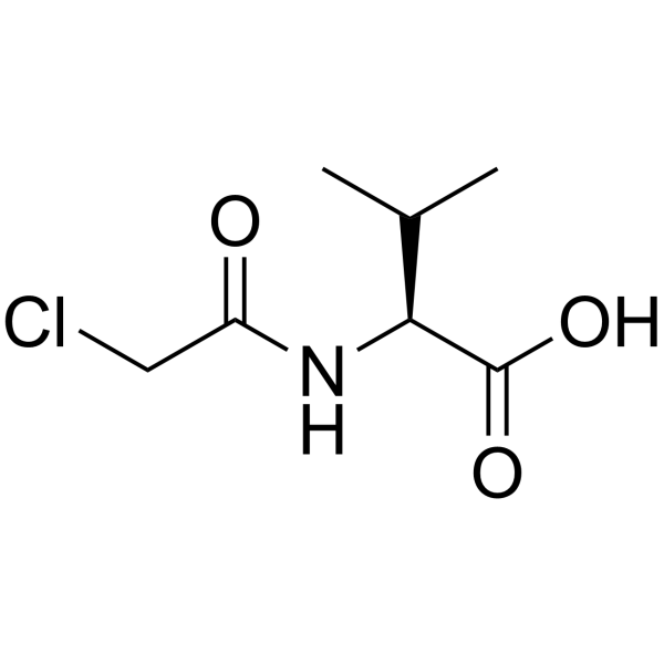N-氯乙酰-L-缬氨酸图片