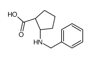 (1R,2S)-2-(benzylamino)cyclopentane-1-carboxylic acid结构式